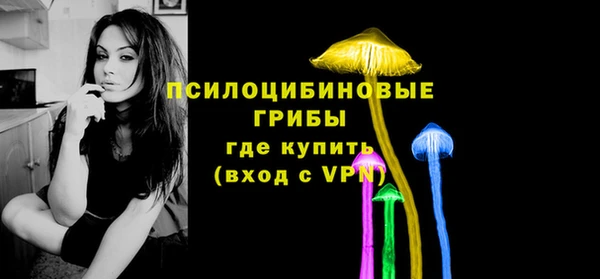бошки Алексин