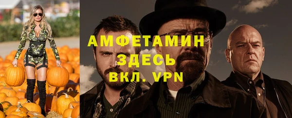 бошки Алексин