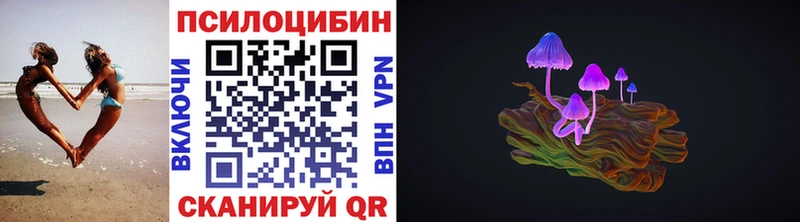 закладка  Яровое  Псилоцибиновые грибы ЛСД 